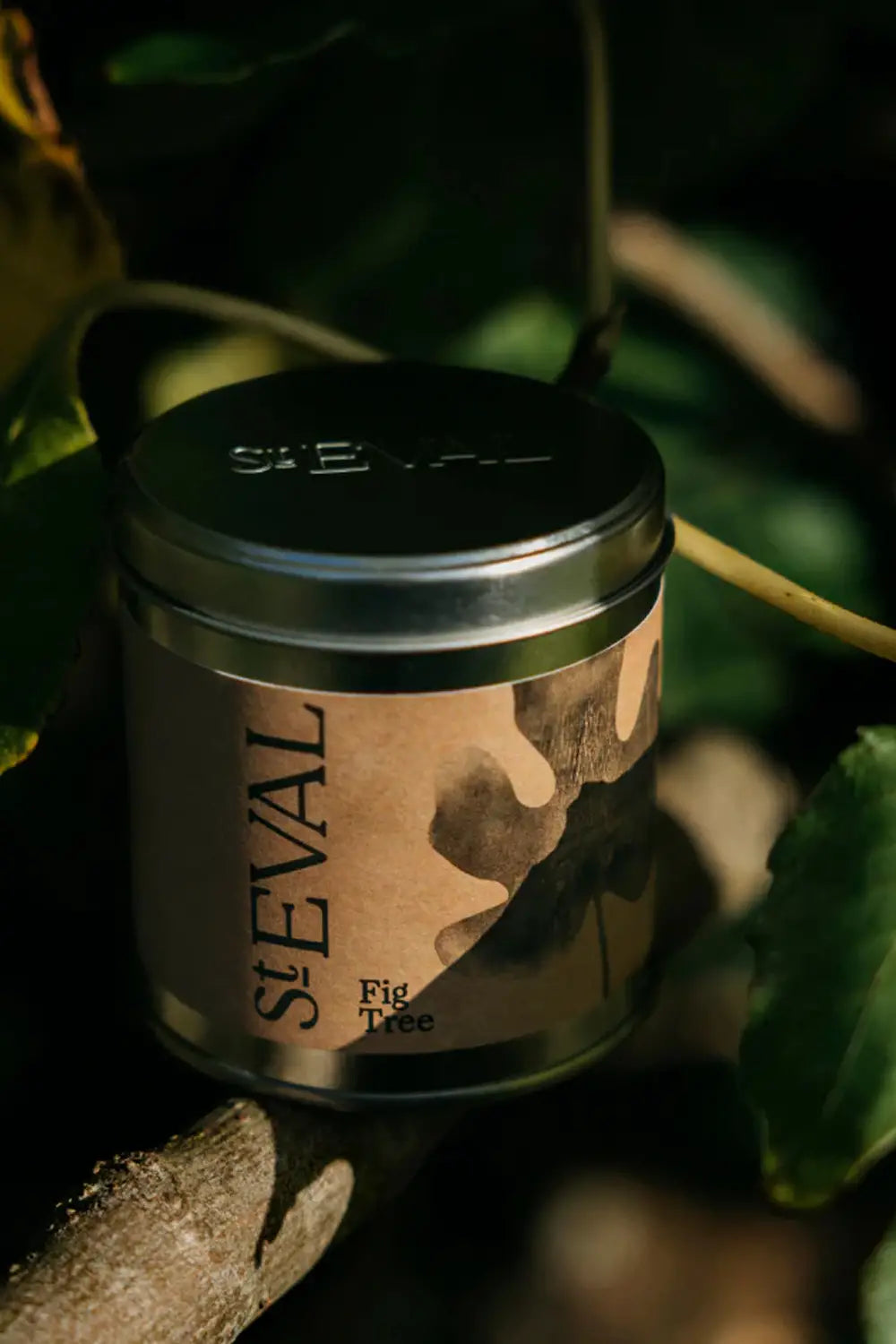 Tin Candle