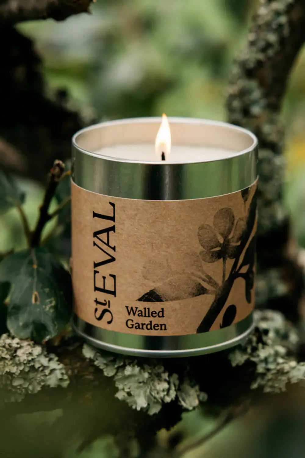 Tin Candle