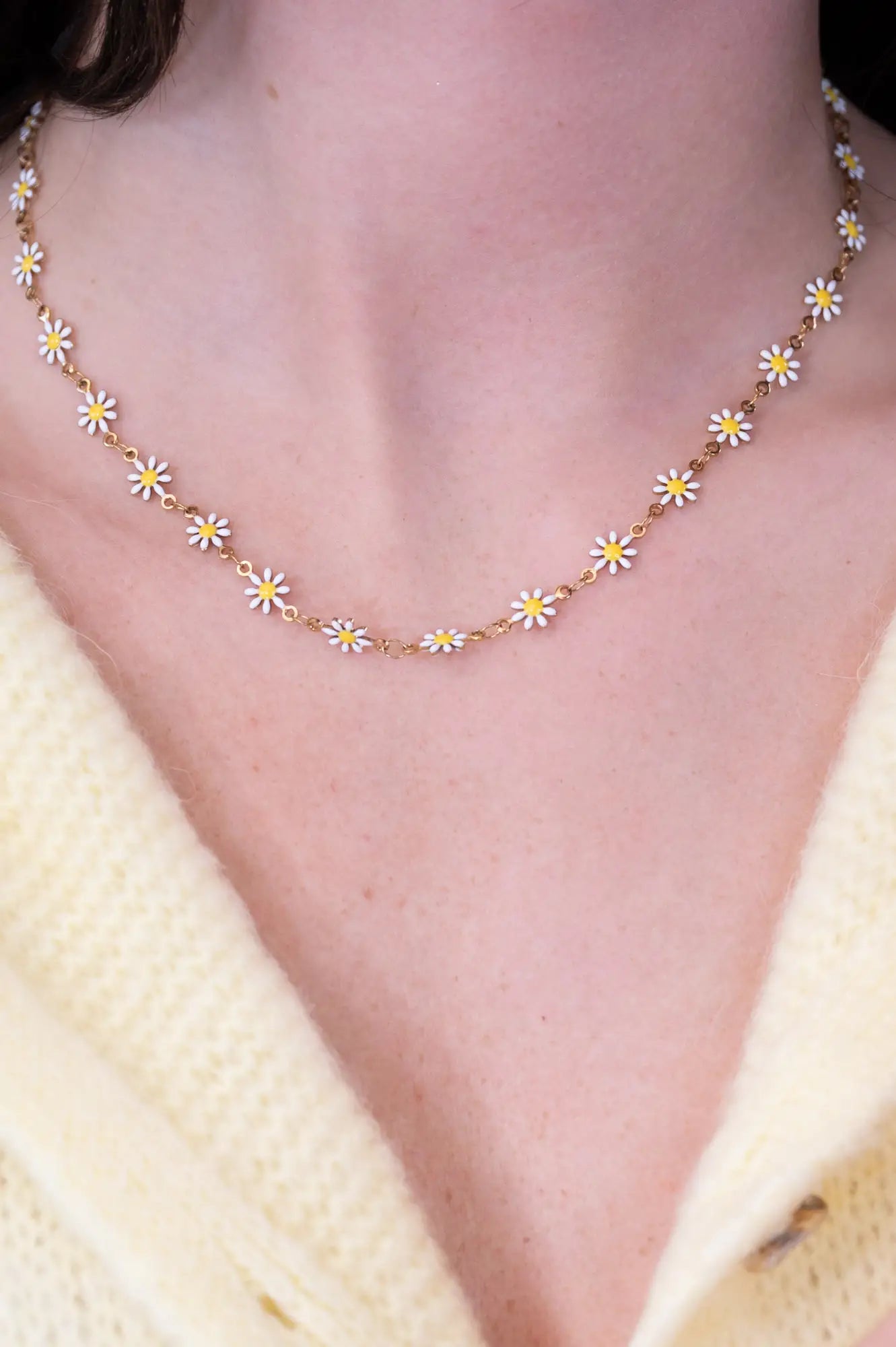 The Daisies Collection