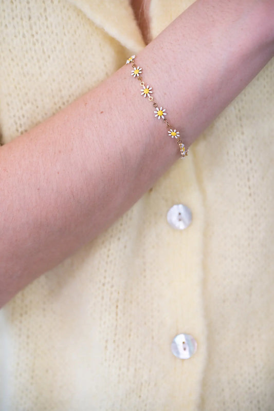 The Daisies Collection