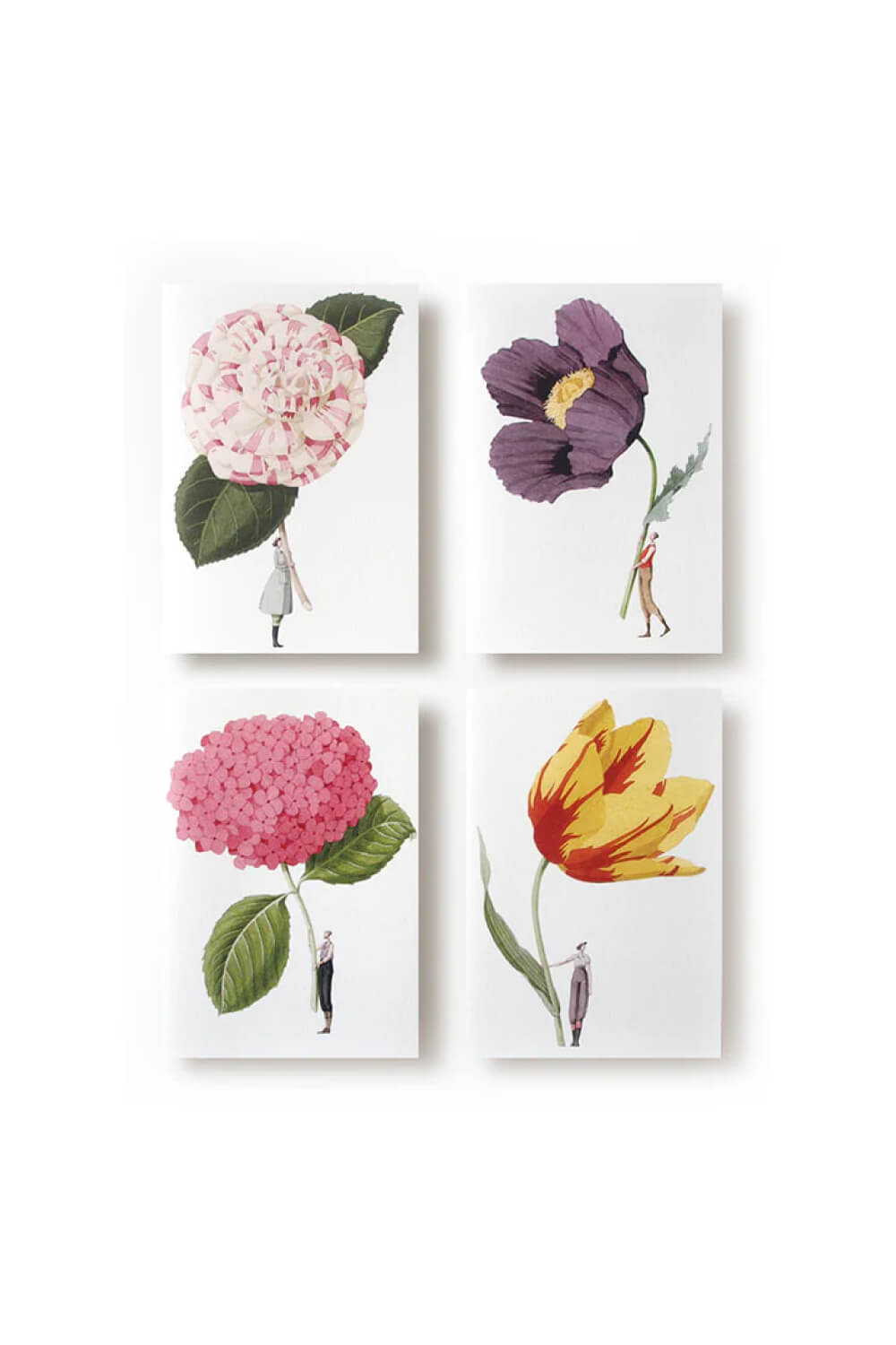 Notecards - Pack of 8