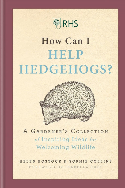 "How Can I Help Hedgehogs"